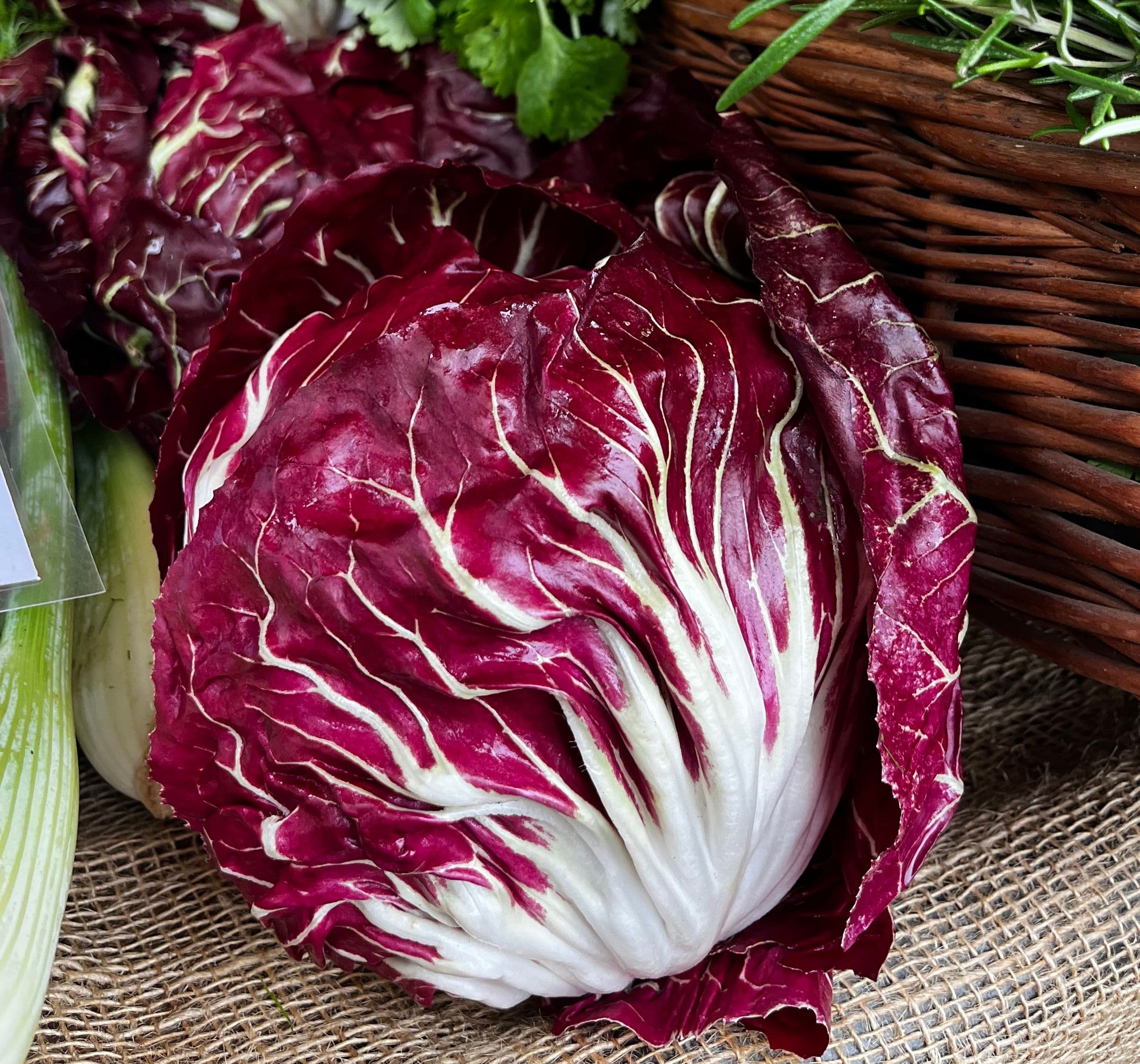 Radicchio (Forty Hall Farm)